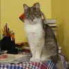 Отзыв от Олеся Малышева